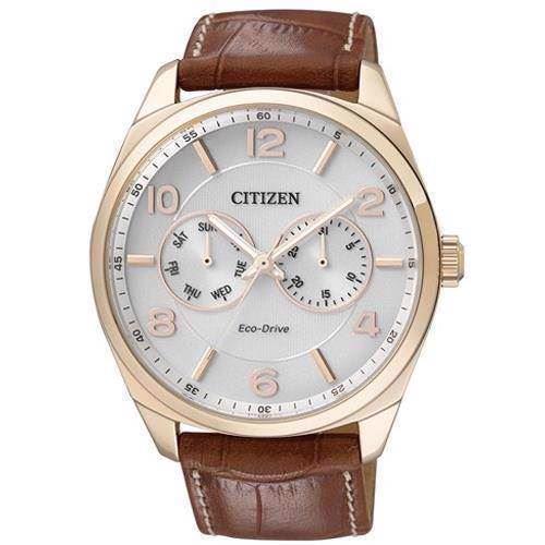 Image of blank forgyldt stål quartz med Eco-Drive Herre ur fra Citizen, AO9024-16A